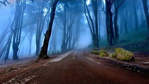 Gandalf. Pilgrims’ Road