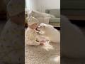 Bless You! Baby & Puppy Catch the Sneezing Habit