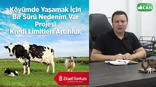 Köye Dönmek Için Bir Sürü Nedenim Var Desteği Ve Diğer Devlet Destekleri