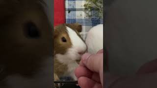 Mike &amp; Toby snack time