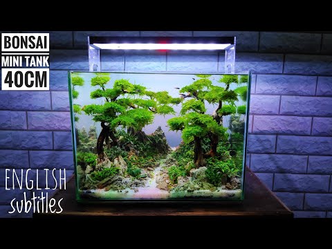 #163-membuat-bonsai-aquascape-mini-model-2-(-subtitle-english-)