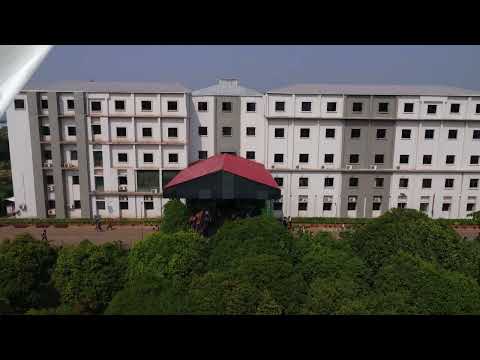Greenery of Centurion University, Odisha