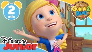 Die & Bear Singaling