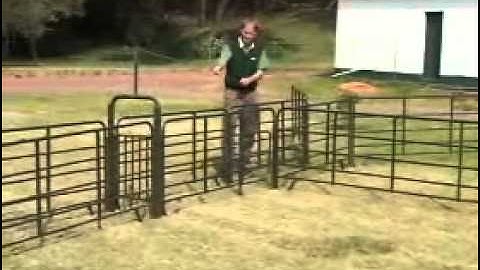Sheep hurdles and gates