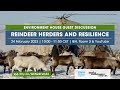 Environment House Guest Discussion | Reindeer Herders and Resilience
