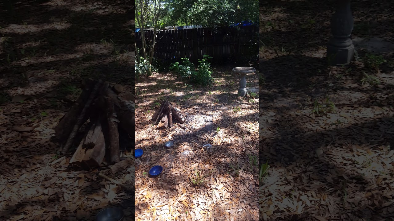 backyard tour Gainesville YouTube