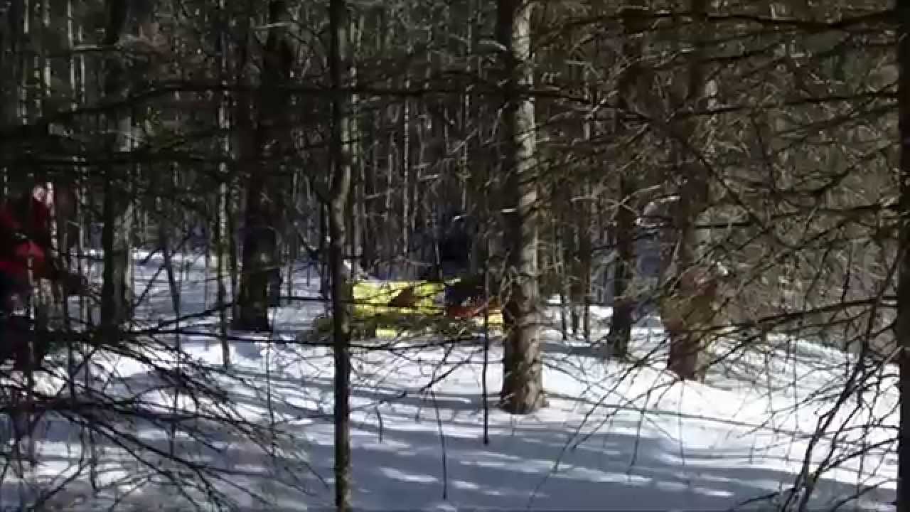 VAL DES BOIS RUN 2012 YouTube