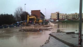 Argamasilla Ecija 12 de Marzo 2013