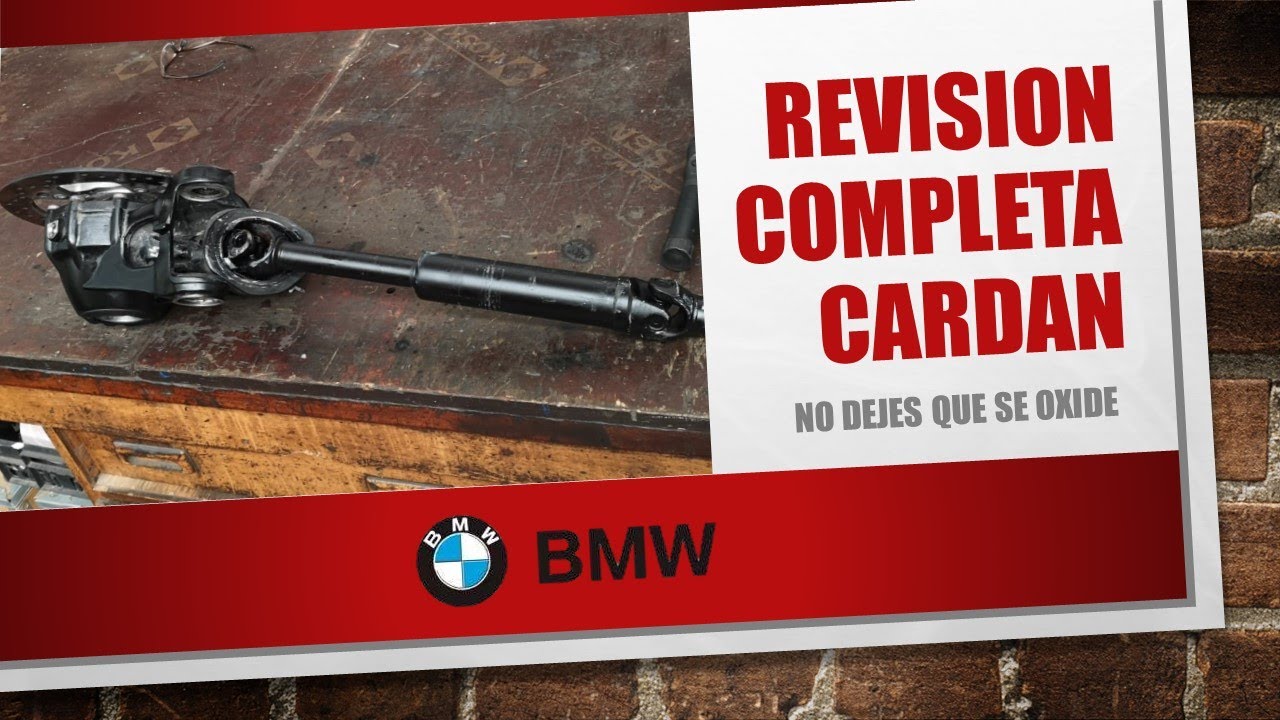 BMW R 1200 Gs Revisión cardan completa