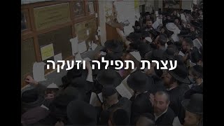 שידור חי מאומן ממעמד התפילה בציון רבי נחמן מברסלב