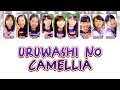 Tsubaki Factory つばきファクトリー - 「 うるわしのカメリア 」 / Uruwashi no Camellia [ 歌詞 / KAN/ROM/ENG LYRICS ]