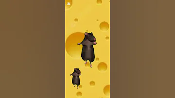 رقصة الفار Rat Dance Rat Dance 