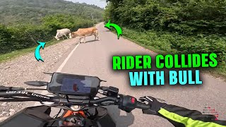 Motorcyclist Crashes Into Bull On Narrow Road