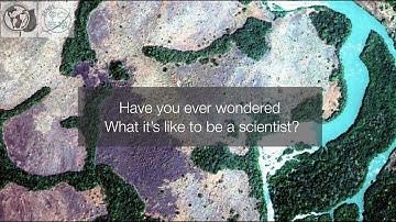 Have you ever wondered what it