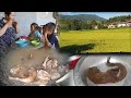 Ua dab laug tu na 6 peb noj tshai qab kawg li ib hnub nplej siav zuj zus lawm tiag o cov phooj ywg 
