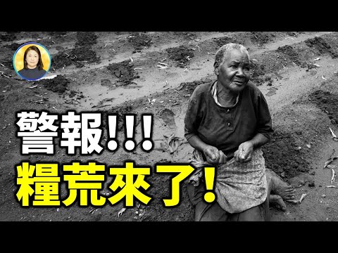 最新一期《经济学人》 拉响粮荒警报！