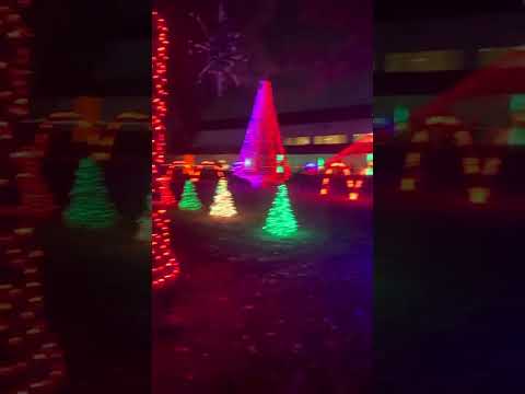 Stunning Christmas Lights!!💡🎅#sia