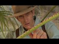 The World’s Largest Palm Oasis | The Desert Speaks