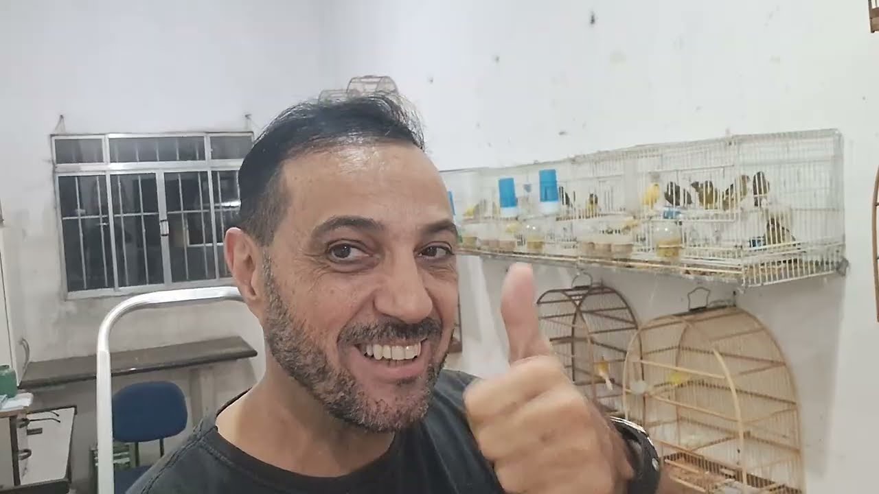 Estou mudando os canários de lugar