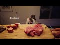 Shikoku Dog Taste Test FAIL の動画、YouTube動画。