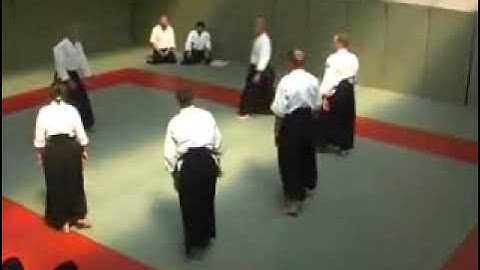 Aikido 4th Dan Black Belt Grading. Part 1: 5 person Jiyu Waza, Jo Kata, Kumi Jo, Jo Dori