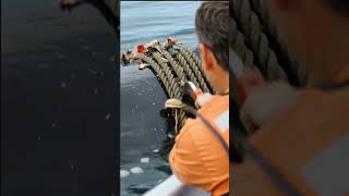 A rescue team is helping a blue whale entangled in ropes and debris #loveanimalworld #saveanimals