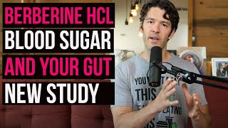 Berberine, Insulin Resistance \& Your Gut Bacteria--New Connections
