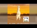アルパカ_言語別展開例