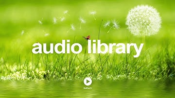 Tiptoe Out the Back - Dan Lebowitz | No Copyright Music YouTube - Free Audio Library