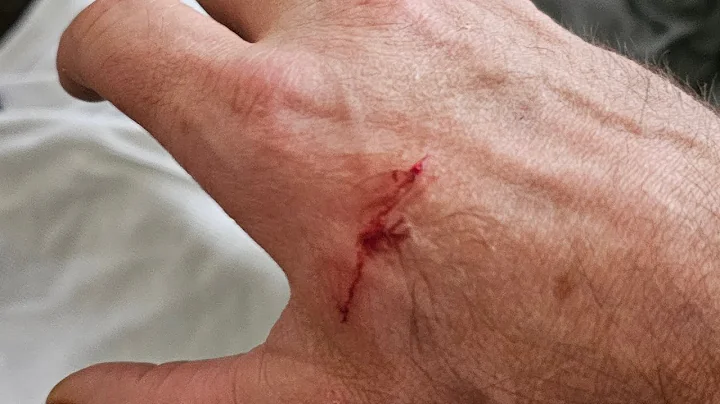 Watch the video about A day in the life of a cat video youtuber. the betrayal is near the end!