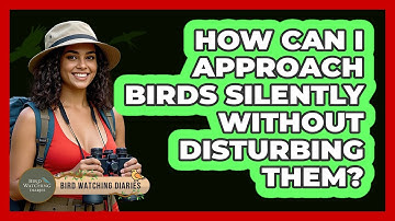 How Can I Approach Birds Silently Without Disturbing Them? - Bird Watching Diaries