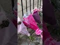 Floral tributes left following fatal crash