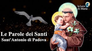 Le Parole dei Santi per oggi, 31 Maggio 2024 - Sant'Antonio di Padova