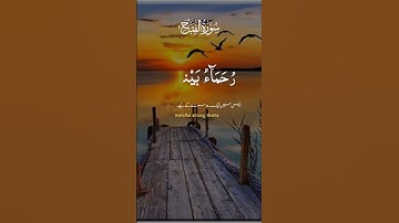 #سورة_الفتح #محمد_رسول_الله #القرآن_الكريم #المصحف #صوت_جميل #تلاوة_تهز_القلوب