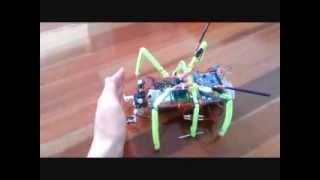 Details 3 Servo Hexapod based on Arduino Leonardo LEO v1.1 Update