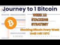 Journey to 1 Bitcoin - Week 12: Stacking Bitcoin Every Week Until I Hit 1 BTC