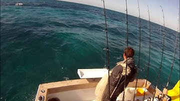 Catching Ballyhoo | Islamorada & Florida Keys Fishing Trips & Charters