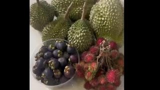 Thai Fruit Season ฤดูกาลแห่งผลไม้ไทย | KWG Ep.18 #kwg #fruit #lifestyle#ไลฟ์สไตล์ #ผลไม้