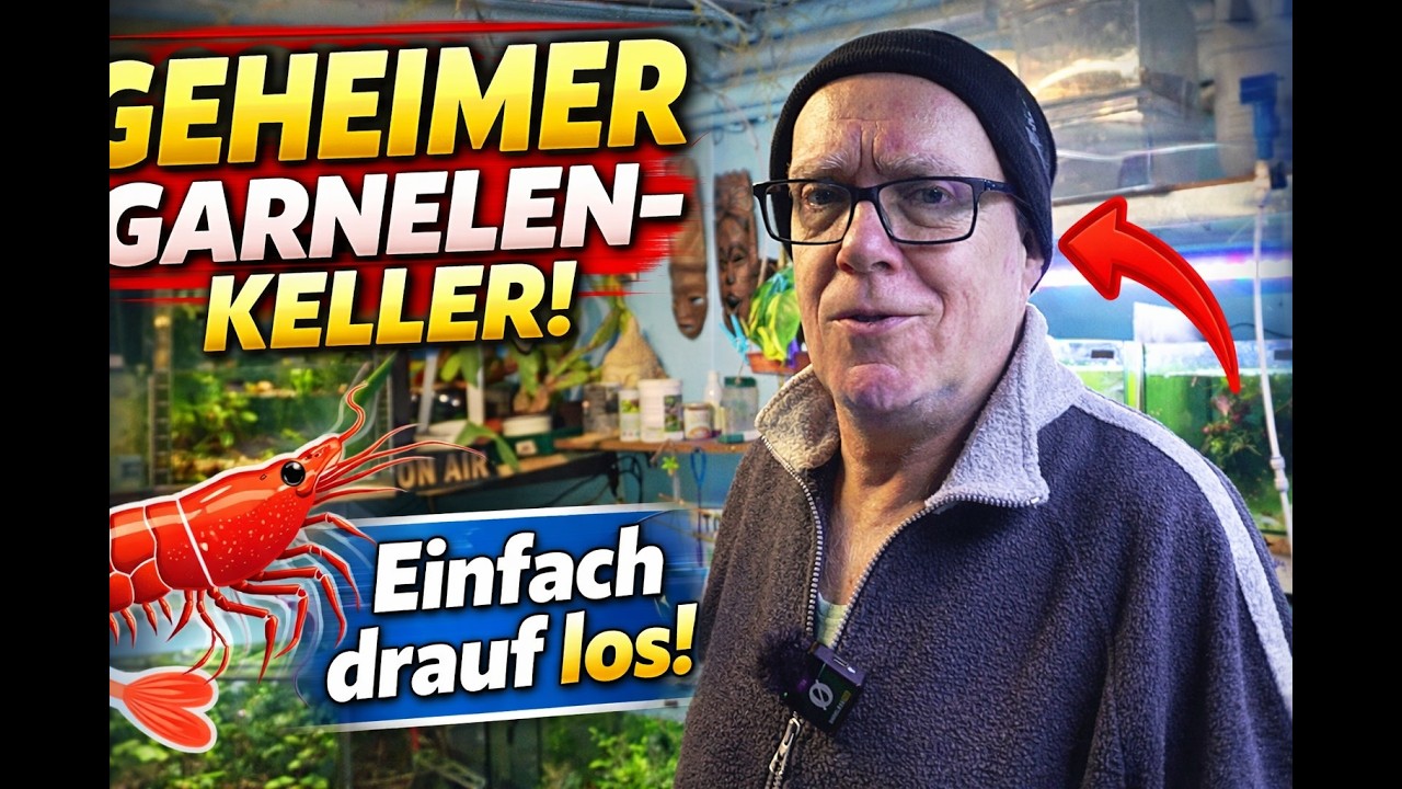 Ohne Plan, aber mit Garnelen!