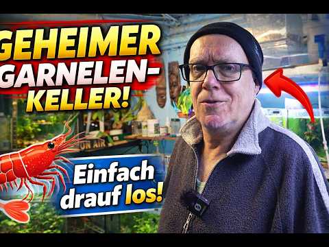 Ohne Plan, aber mit Garnelen!