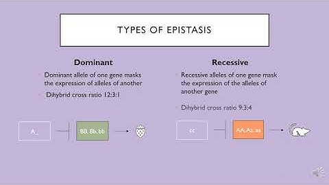 Dominant vs Recessive Epistasis