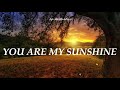 You Are My Sunshine (Cover) Music Travel Love (Lyrics)  || Jp Aesthetic