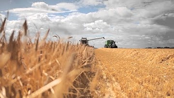 2013 barley yield world record attempt