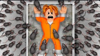 Face Your Fears Obby