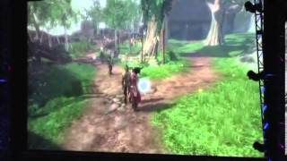 E3 08: Fable 2 conference demonstration