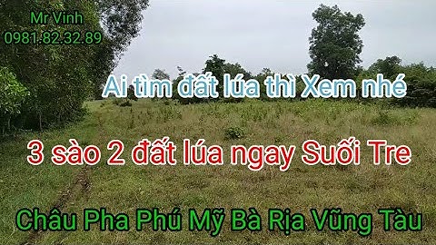 Bán đất Xã Châu Pha giá rẻ 3 sào 2 đất lúa Châu Pha Phú Mỹ Bà Rịa Vũng Tàu @NguyenTheVinhbds