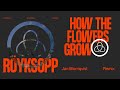 Röyksopp - 'How The Flowers Grow' ft. Pixx (Jan Blomqvist Remix) (Official Visualiser)