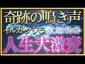 イルカ・クジラたちの奇跡の鳴き声で人生激変!なぜか聴くだけでうまくいく