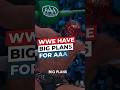 WWE Have Big Plans For Lucha Libre AAA #WWE #Wrestling #AAA #TripleA #Lucha #ElGrande #Netflix