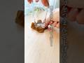 ギュッと華咲くコースター保護にもなるし何度も結露を拭く手間も省けたよ